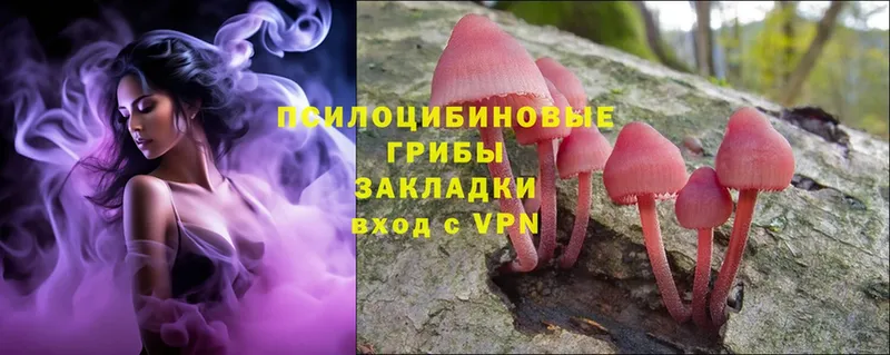 Галлюциногенные грибы Magic Shrooms  MEGA онион  Чехов 